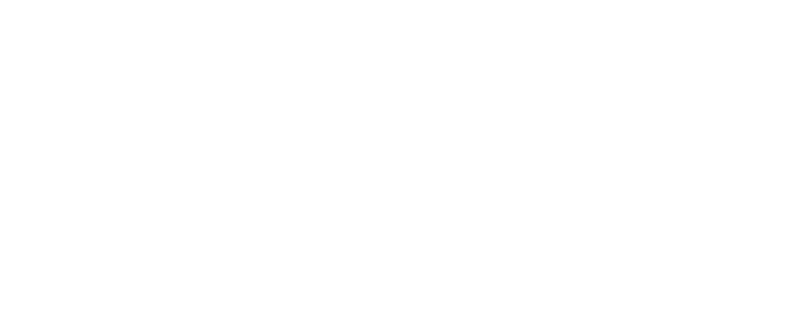 ZZ Media Logo