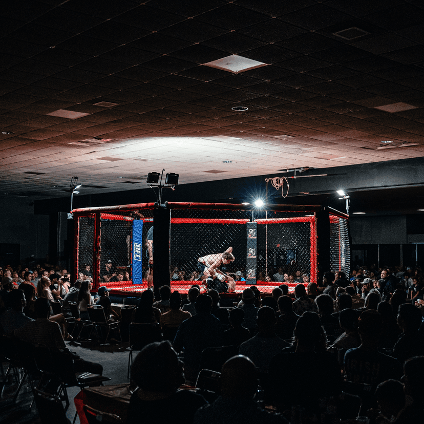 Portfolio Showcase 7 - Exceptional photography with attention to detail and composition photography by ZZMEDIA