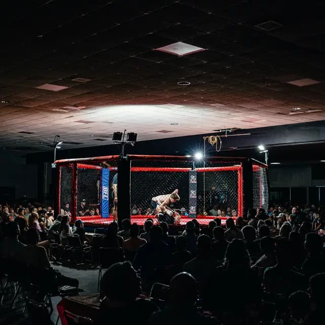 Portfolio Showcase 7 - portfolio photography